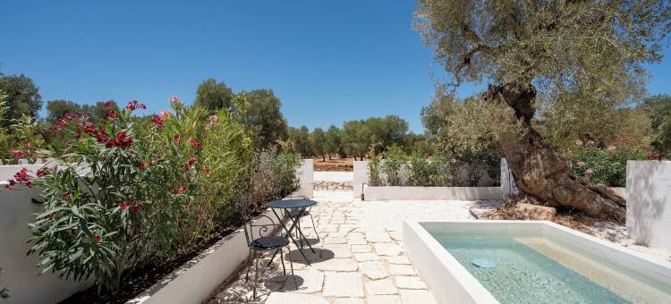 马斯仙达瓜达卢佩(Masseria Guadalupe, the Mascienda)图片