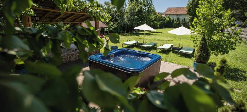 金星大别墅酒店(Villa Venus)图片