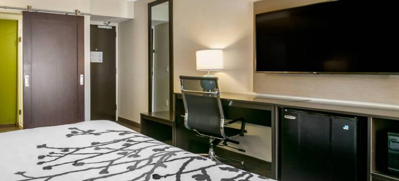 阿伦敦 - 福格尔斯维尔舒眠酒店(Sleep Inn Allentown-Fogelsville)图片