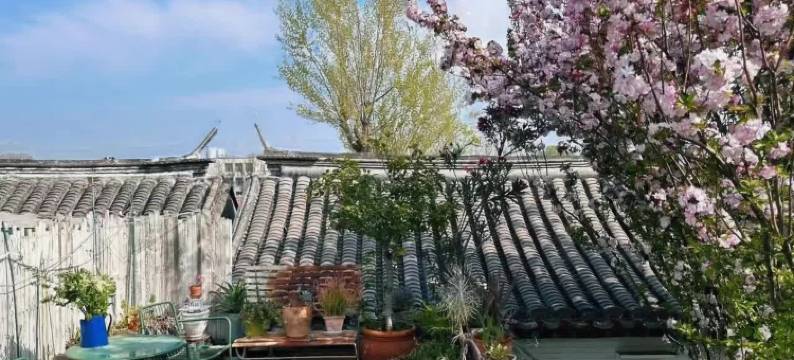 北平花园·北平小院四合院酒店(北京西单金融街店)图片