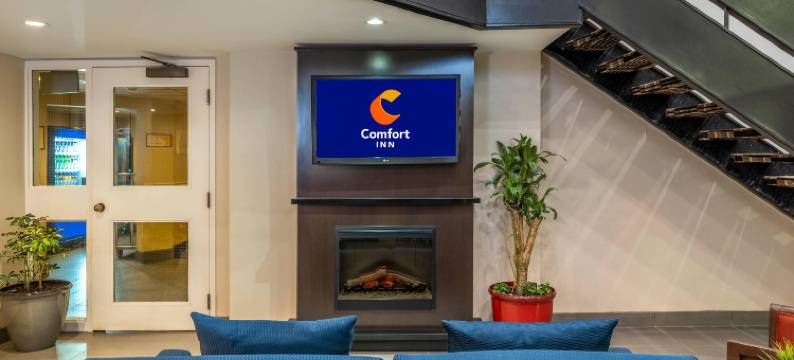 机场舒适酒店(Comfort Inn Airport)图片