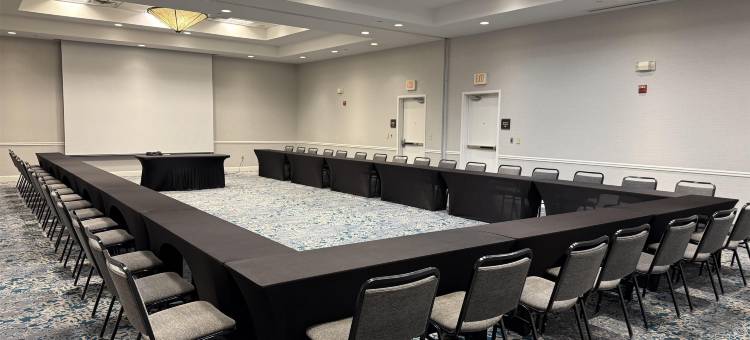 弗赖拉辛达拉斯希尔顿花园酒店(Hilton Garden Inn Dallas Frisco)图片
