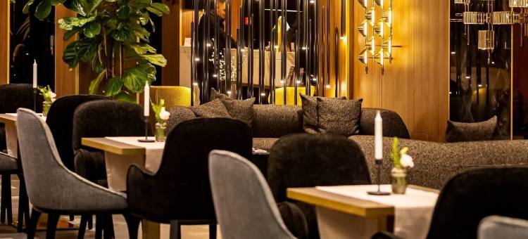 天空机场酒店(Sky Airport Hotel)图片