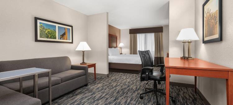 米德韦斯特城廷克空军基地拉昆塔温德姆套房酒店(La Quinta Inn & Suites by Wyndham Midwest City - Tinker AFB)图片