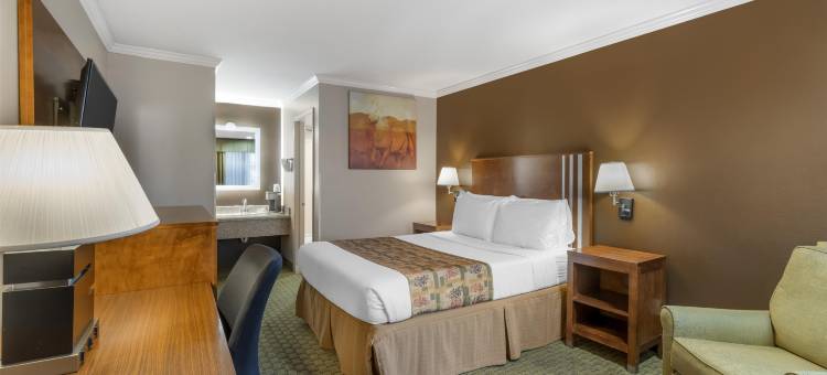 天际线贝斯特韦斯特汽车旅店(Best Western Skyline Motor Lodge)图片