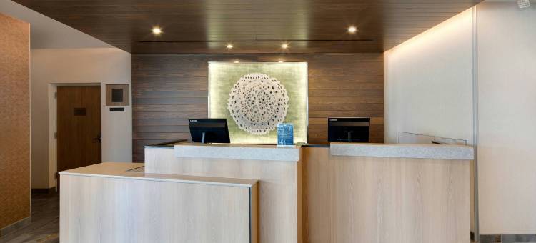 坦帕韦斯利查普尔万枫酒店及套房(Fairfield Inn & Suites Tampa Wesley Chapel)图片