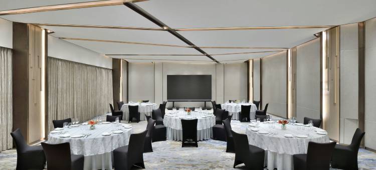 海得拉巴高科技城威斯汀酒店(The Westin Hyderabad Hitec City)图片