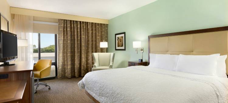 希尔顿欢朋套房酒店-塔彭斯普林斯(Hampton Inn & Suites Tarpon Springs)图片