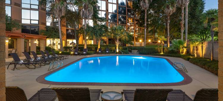 休斯顿布鲁克霍洛喜来登酒店(Sheraton Houston Brookhollow Hotel)图片