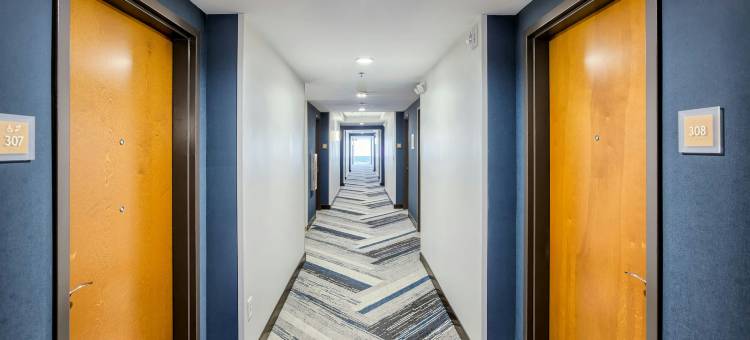 罗利达勒姆机场福朋喜来登酒店(Four Points by Sheraton Raleigh Durham Airport)图片