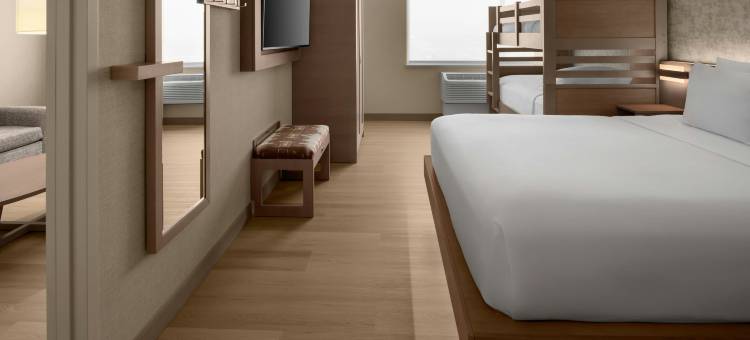 阿纳海姆主题公园/会议区万豪春丘套房酒店(SpringHill Suites by Marriott Anaheim Theme Park/Convention Area)图片