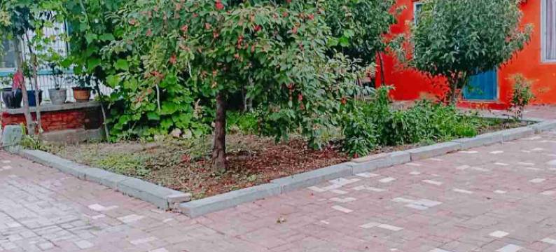 盘锦文茹农家院图片