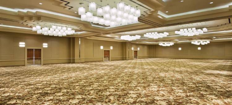 亚特兰大巴克海区特威斯汀酒店(The Westin Buckhead Atlanta)图片