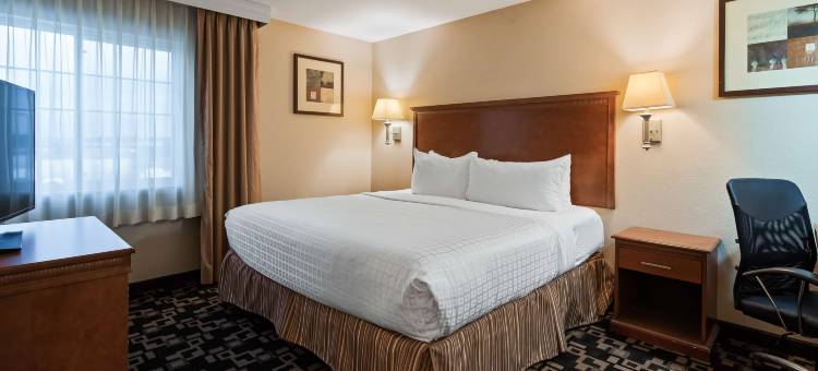 沃索罗斯柴尔德贝斯特韦斯特优质酒店(Best Western Plus Wausau-Rothschild Hotel)图片