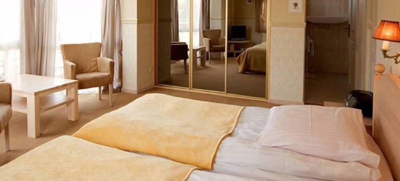 爱神温泉旅馆(Afrodyta Spa & Wellness Resort)图片