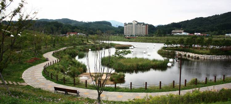 Holiday Inn & Suites 阿尔卑斯平昌套房(Holiday Inn & Suites Alpensia Pyeongchang)图片