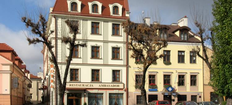 阿蒙吧萨多斯基热舒夫酒店(Hotel Ambasadorski Rzeszów)图片