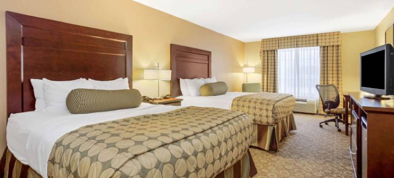 迪金森拉昆塔温德姆套房酒店(La Quinta Inn & Suites by Wyndham Dickinson)图片