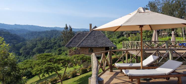 内普顿内格罗格豪华度假村-全包服务(Neptune Ngorongoro Luxury Lodge)图片