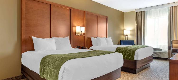 舒适套房酒店(Comfort Inn & Suites)图片