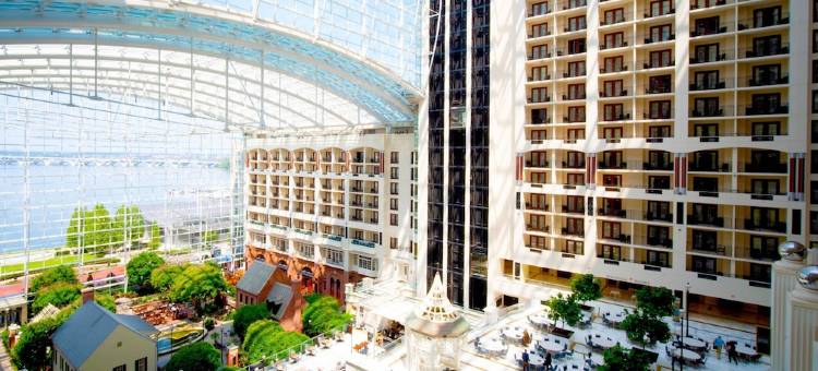 盖洛德国家度假会议中心酒店(Gaylord National Resort & Convention Center)图片