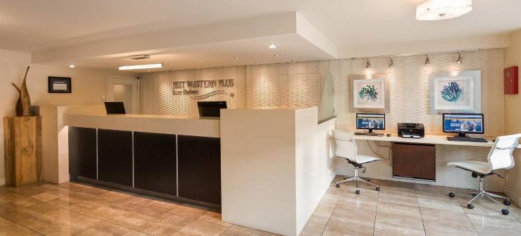 内港贝斯特韦斯特优质酒店(Best Western Plus Inner Harbour)图片