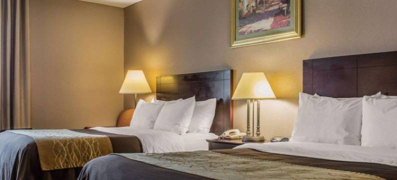 品质酒店(Quality Inn Lockport)图片