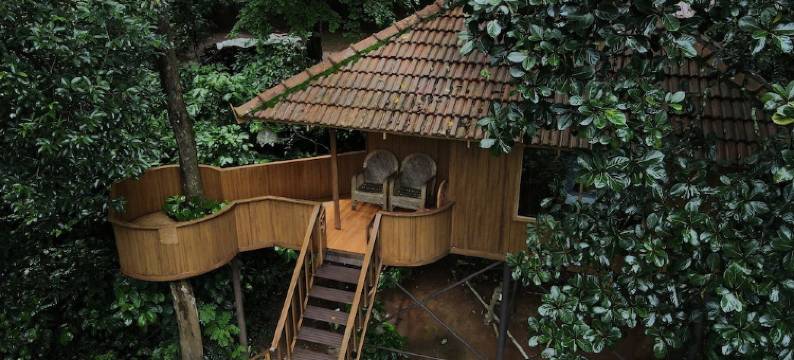 绿色星球度假村(Planet Green Plantation Resorts, Wayanad, Kerala)图片