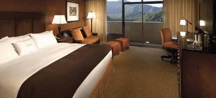 加特林堡远景公园逸林酒店(The Park Vista - a DoubleTree by Hilton Hotel - Gatlinburg)图片