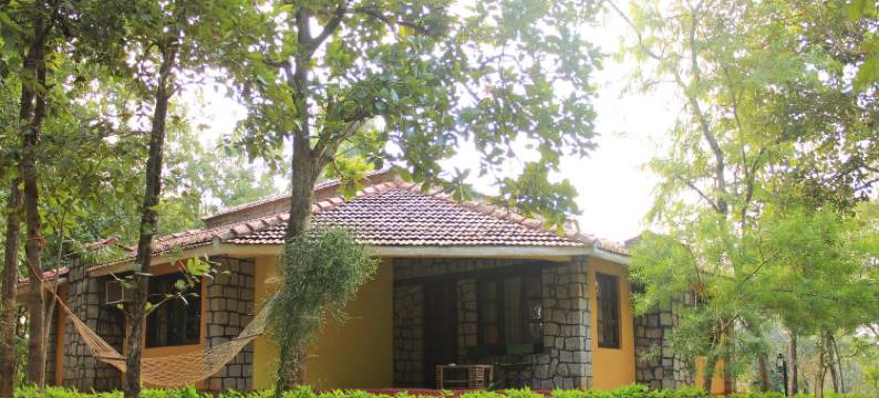 野生木屋度假村(Wild Chalet Resort)图片