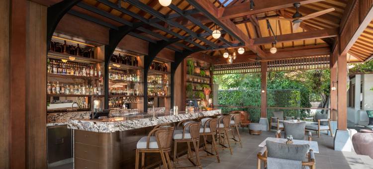 巴厘岛努沙杜瓦拉古娜豪华精选水疗度假酒店(The Laguna, a Luxury Collection Resort & Spa, Bali)图片