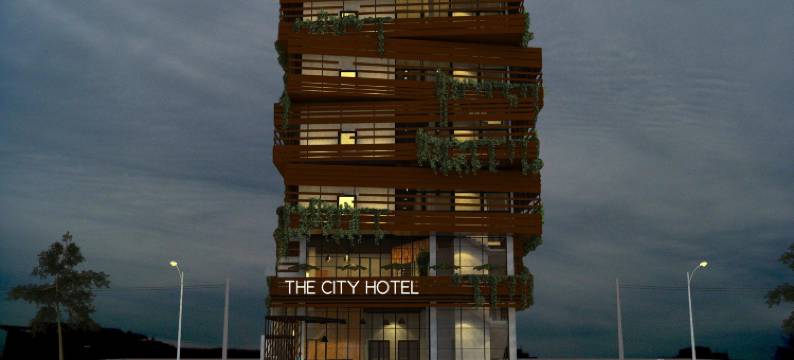 城市酒店(The City Hotel)图片