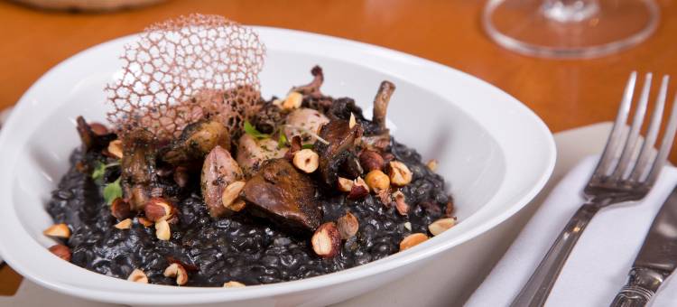 NH圣地亚哥-德尔埃斯特罗(NH Santiago del Estero)图片