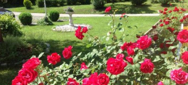 沃克里贝尔旅馆(Pension & Apartments Waldkrieber)图片