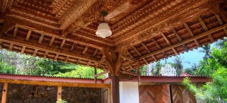 卡里姆加瓦阿玉酒店(Ayu Hotel Karimunjawa)图片