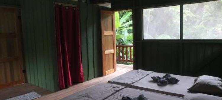 斯塔逊百罗吉卡塔曼朵阿山林小屋(Complejo Ecoturistico Tamandua)图片