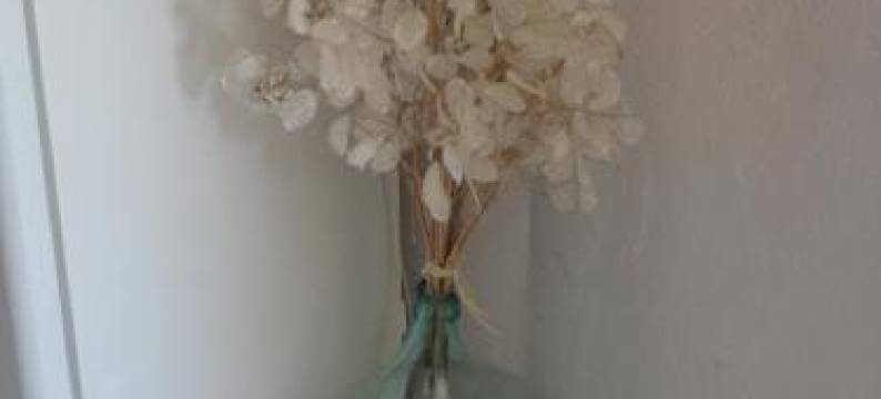 Guest House Astra图片