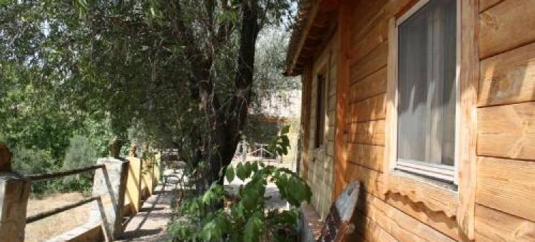 Cabañas El Nogueral图片