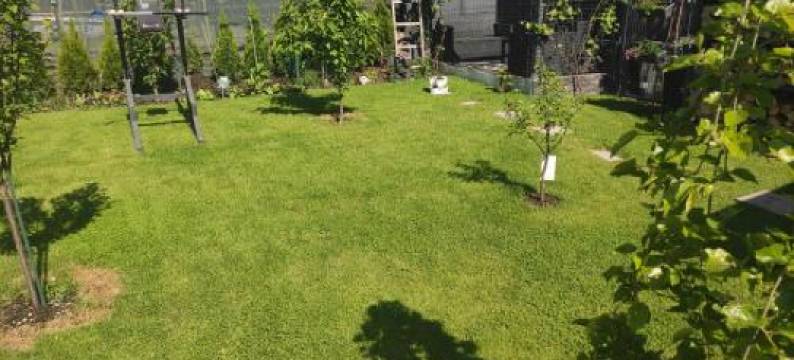 Apartmán Martin图片