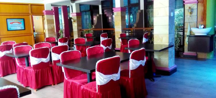 潘格兰酒店(Hotel Pangeran Padang Panjang)图片