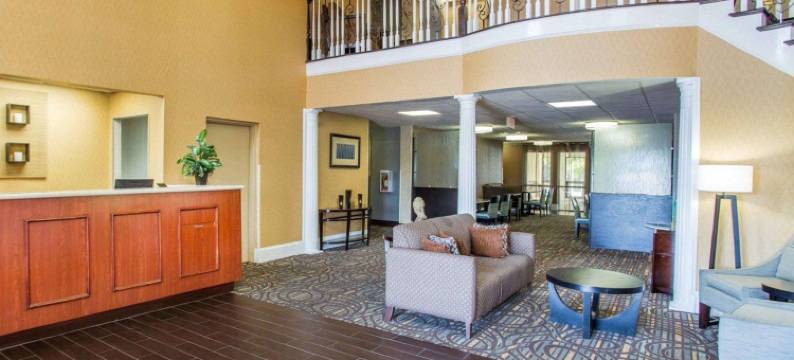 斯通山舒适套房酒店(Comfort Inn & Suites at Stone Mountain)图片