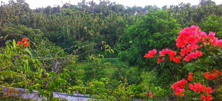 楠榜白羊座酒店(Aries Hotel Lampung)图片