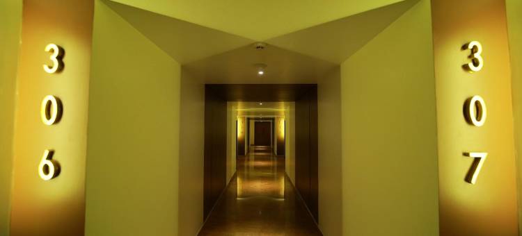 阿莫哈酒店(Hotel Amoha)图片