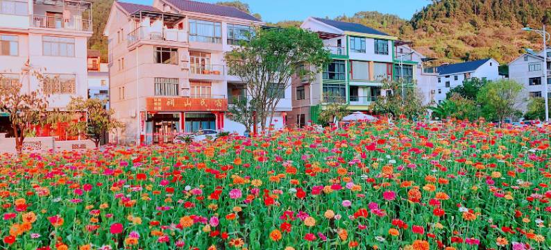 千岛湖澜山民宿图片