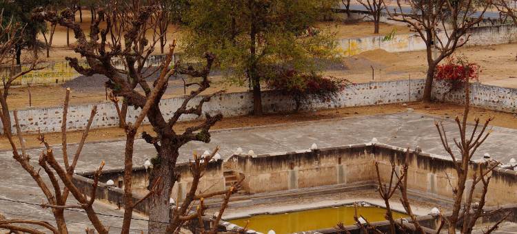 RnB 桑蒂尼盖登萨拉萨尔酒店(Salasar Shanti Niketan)图片