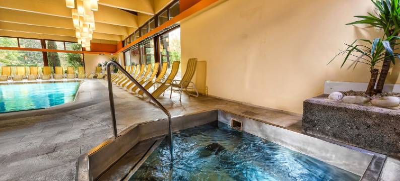 约翰巴德皇宫酒店(Johannesbad Hotel Palace - Kinder Bis 11 Jahre Urlauben Kostenfrei)图片