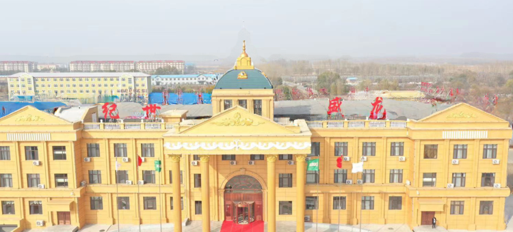 龙盛世纪酒店(青冈北城店)图片