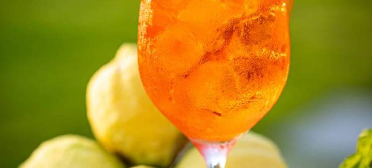 吉内夫拉度假村农业旅游酒店(Villa Ginevra Resort Agrituristico)图片