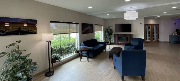 拉克兰海洋世界舒适套房酒店(Comfort Suites Near Seaworld)图片