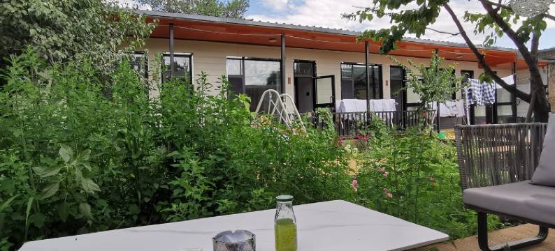 那拉提松叶客栈图片